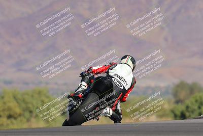 media/Nov-12-2023-SoCal Trackdays (Sun) [[5d1fba4e7d]]/Turn 9 Backside (1015am)/